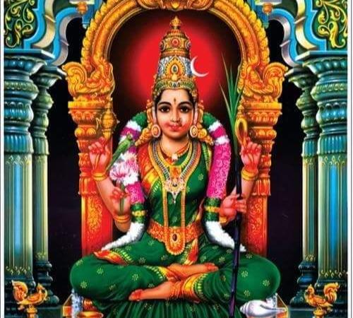 kanchi-kamatchi-amman-poojai-and-remedy