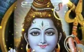 human-death-participate-remedy