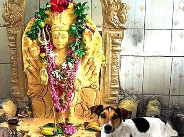 senganatham-malai-kalabairavar-temple-vellore