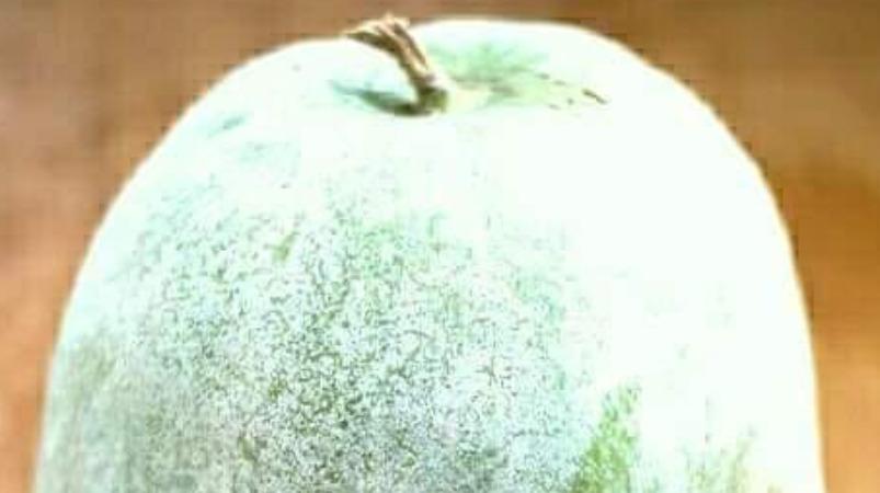 thirushti-poosanika-poojai-and-remedy