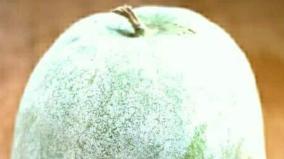 thirushti-poosanika-poojai-and-remedy