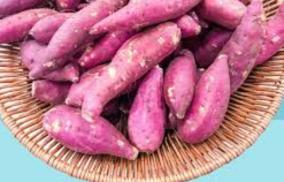 sakkaravalli-kizhangu-health-tips