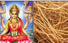 vetiver-poojai-mahalakshmi