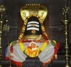 vibuthi-poojai-and-remedy