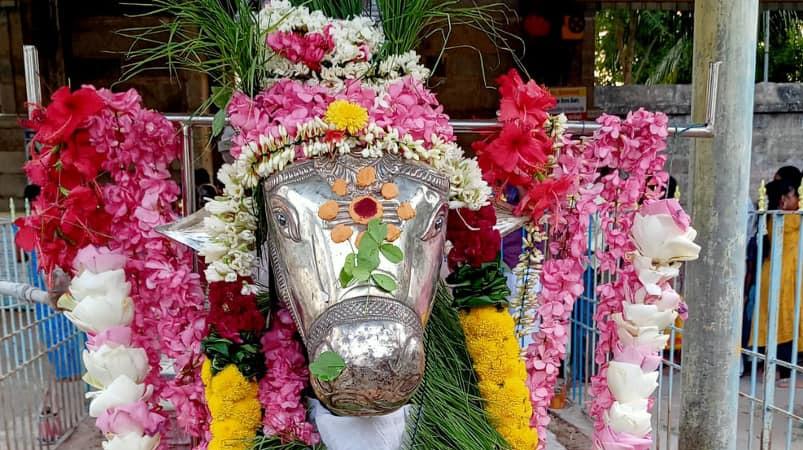 sivaloga-nayagi-sri-sishta-gurunathar-temple-thiruthuraiyur