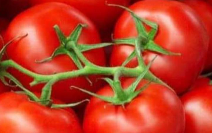 stomach-cancer-tomato-health-tips