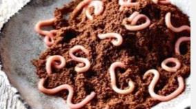 world-dangerous-food