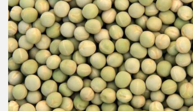 green-peas-health-tips