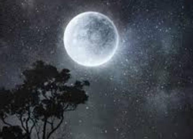 pavurnami-poojai-and-remedy