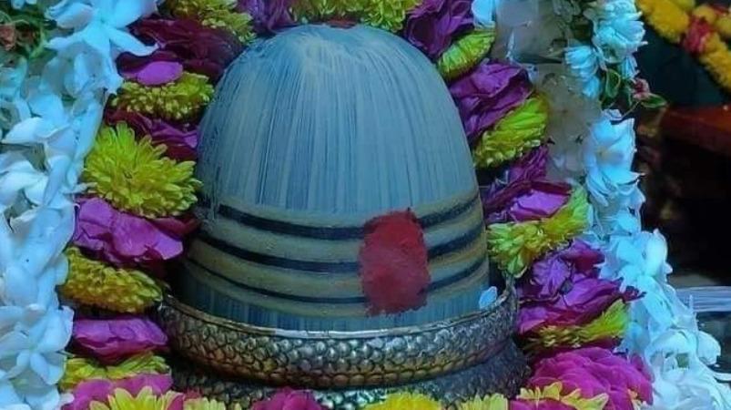 kargoteshwarar-temple-thirunallur