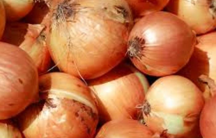 urinary-stones-health-tips