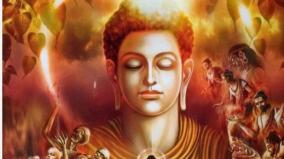buddhas-rules
