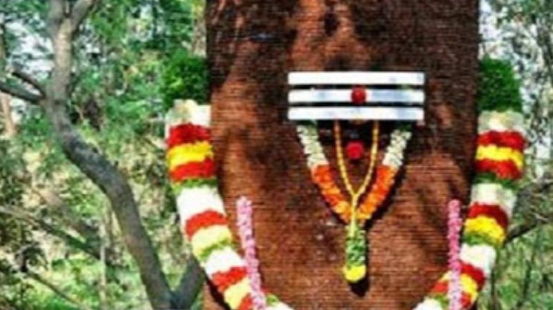 vaithiyanathar-temple-mayiladudurai