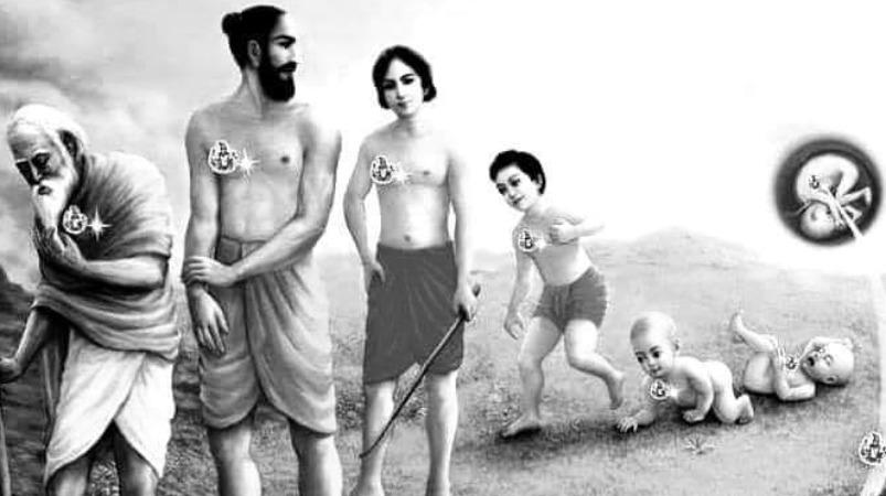 life-bothanai