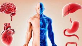 human-body-parts-function