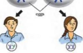 sex-tips-for-boy-baby