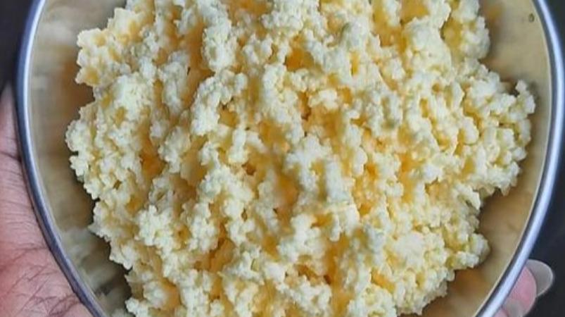 cow-colostrum-milk-sweet-seempal-recipe