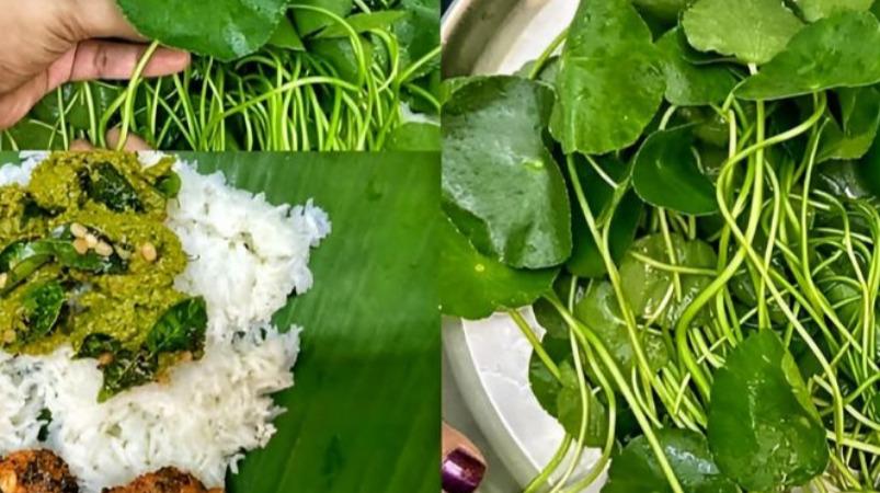 vallarai-keerai-podi-cooking-tips