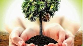 panaimaram-save-tree