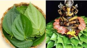 vetri-elai-poojai-remedy