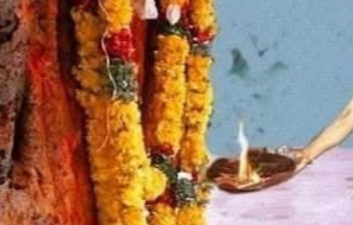 tree-poojai-remedy