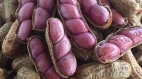 nilakadalai-health-tips