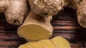 ginger-health-tips