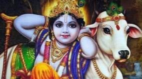 cow-lakshmi-poojai