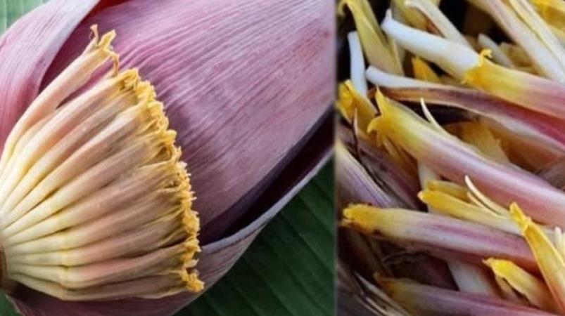 vazhai-poo-health-care-tips