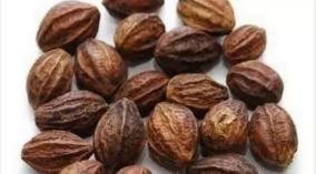 kadukkai-mooligai-health-tips