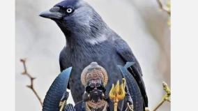saneeshwara-bagavan-poojai-remedy