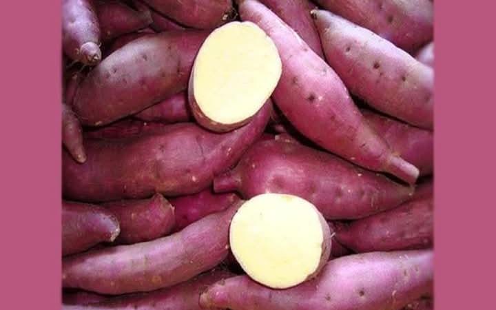 chakkara-valli-kizhangu-diabetic-health-tips