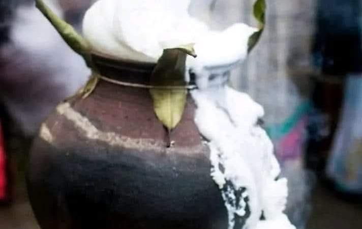pongal-ponguthal-palangal