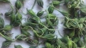 aids-disease-athalaikkai-health-tips