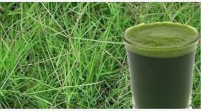 arugampul-juice-health-tips