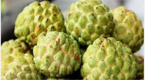 seetha-palam-sugar-apple-custard-apple