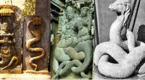 naga-thosam-poojai-remedy