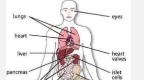 human-body-disease-health-tips