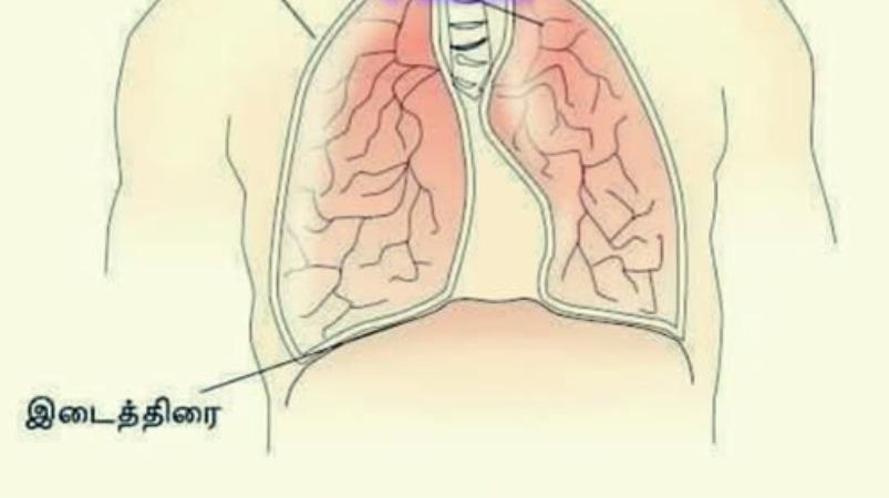 lungs-care-health-tips