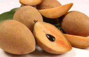 sappotta-fruits-health-tips