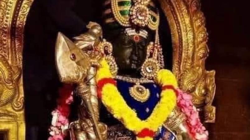 palani-murugan-koil-parrot