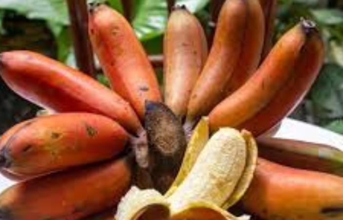 red-banana-health-tips
