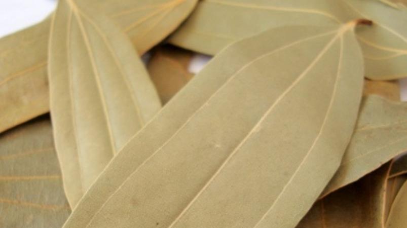 biriyani-leaf-weight-loss-tips