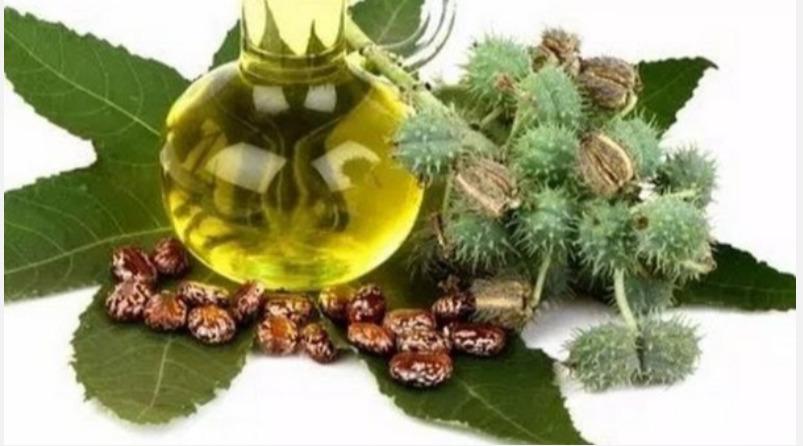 amanakku-oil-health-tips