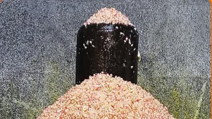 maha-sivaratri-kaalam-poojai