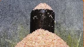maha-sivaratri-kaalam-poojai