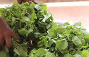 keeprai-food-health-tips