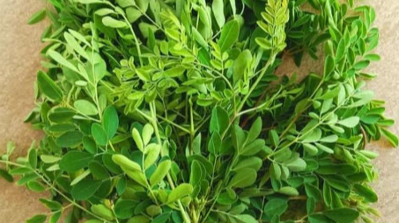 murungai-keerai-health-tips