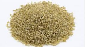 kuthiraivali-rice-health-tips