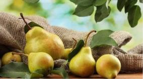 berikkai-health-tips